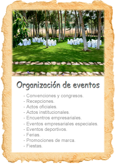 Formaci&oacute;n